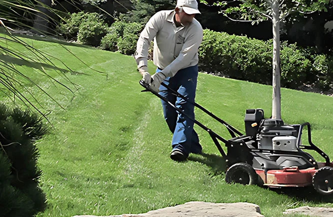 lawn Care