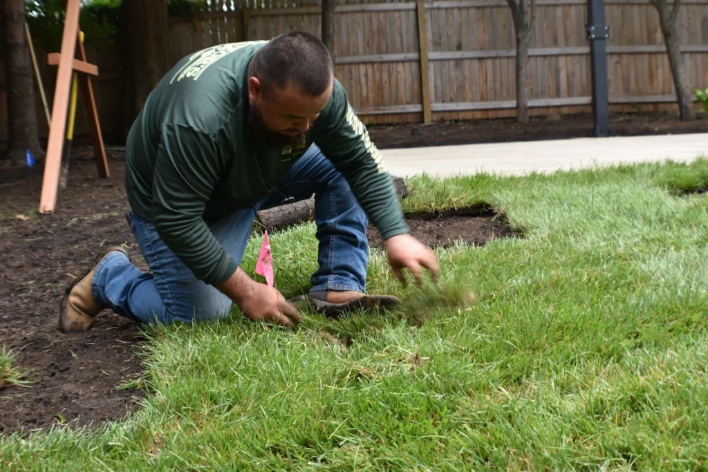 Landscaper working on laying sod.