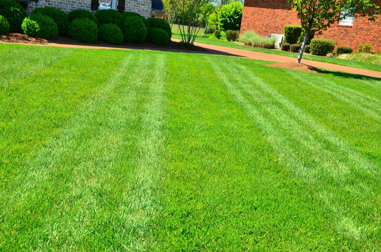 Lawn Care Design Services in Lee’s Summit, Missouri