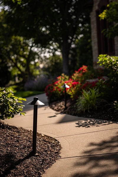 Low view of pathway landscaping.
