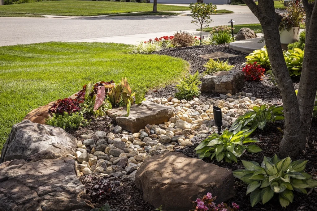 Native plant landscaping.