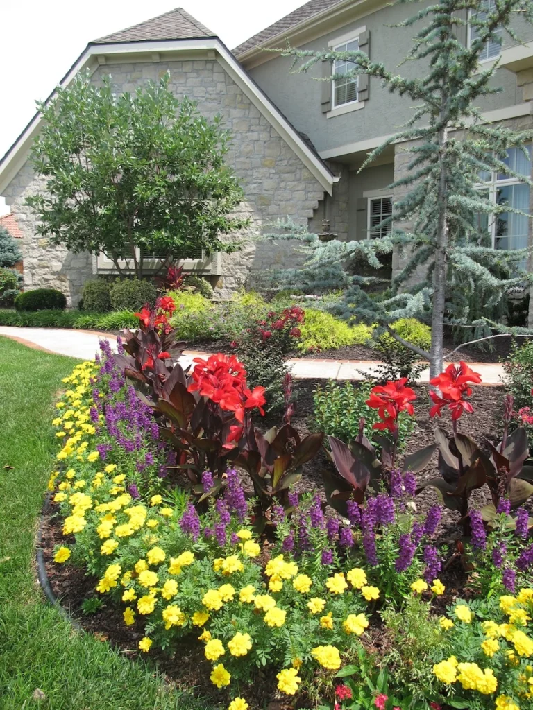 Brightly colored flowers in a garden.