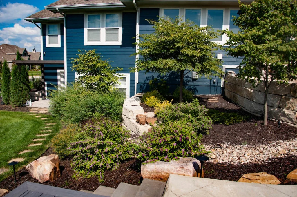 Green landscaping in a backyard.