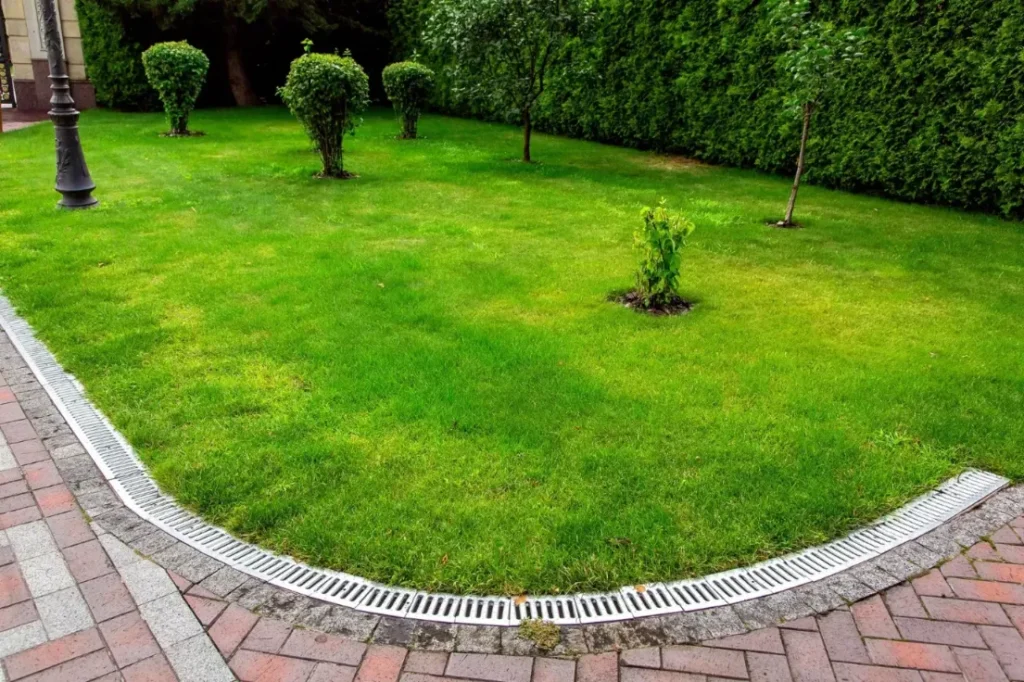 A backyard with a drainage system.