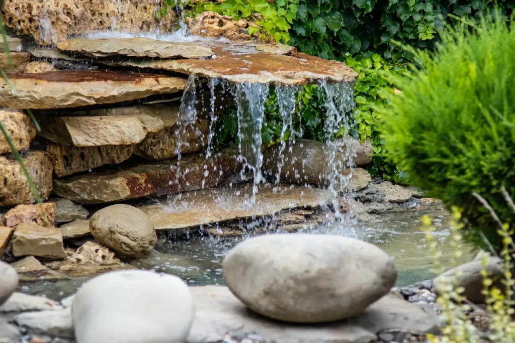A water feature in the backyard.