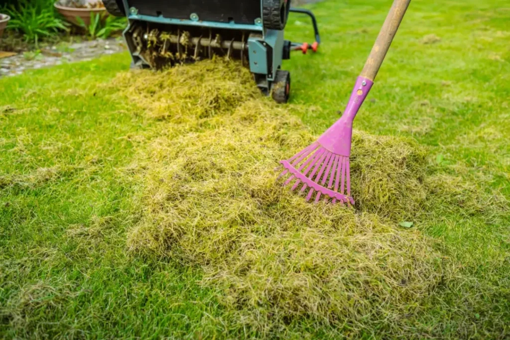 Landscaping machine with dead grass and a rake.