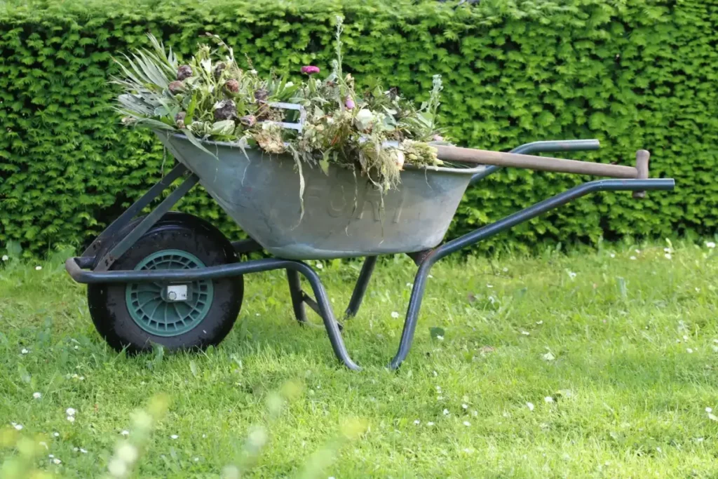 A wheelbarrow in a garden.