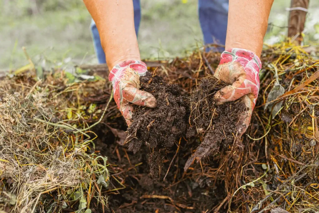 A gardener scooping mulch with their hands.