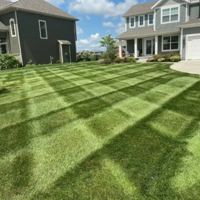 Rhodes Mowing
