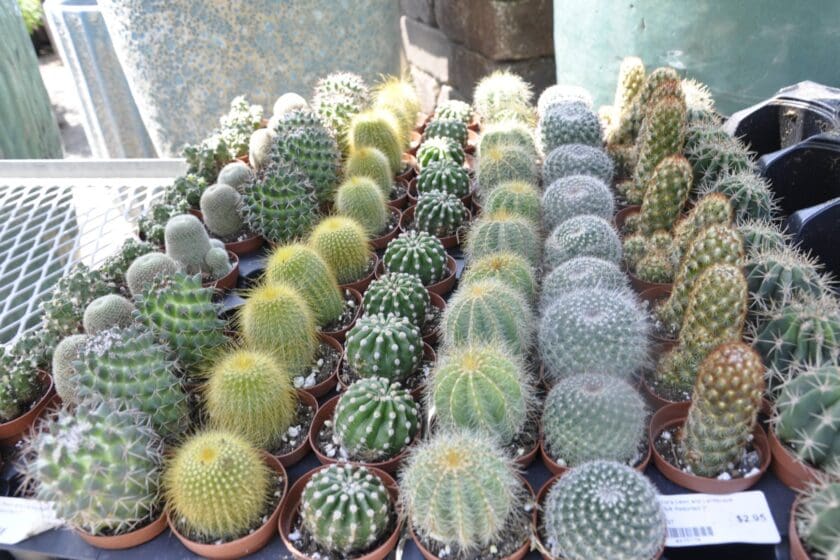 Garden Center in Sunrise Beach, MO