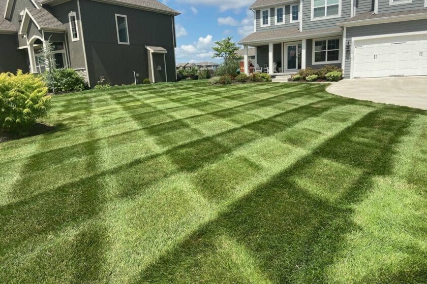 Rhodes Mowing