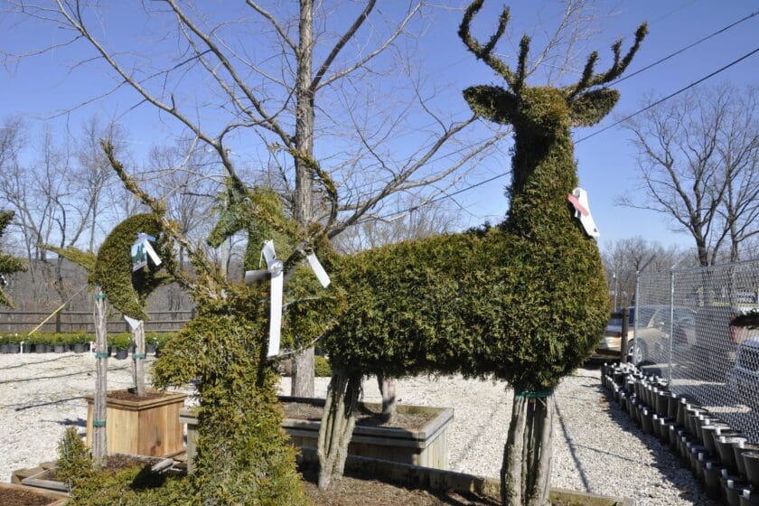 Garden Center in Sunrise Beach, MO