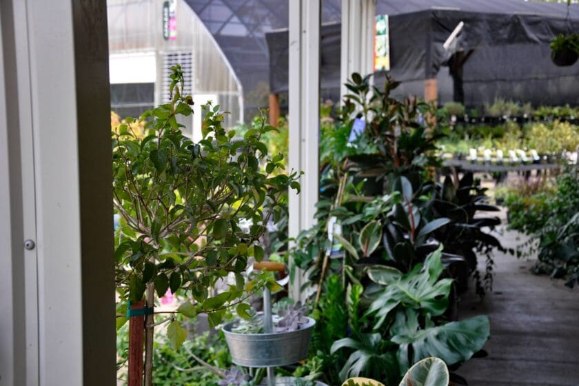 Garden Center in Sunrise Beach, MO