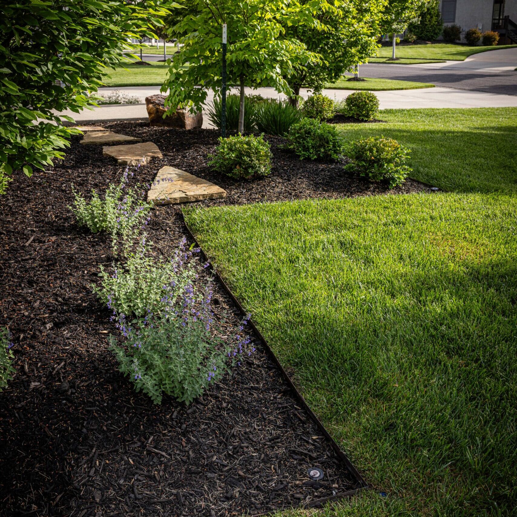 Landscape Maintenance Programs Kansas City, MO