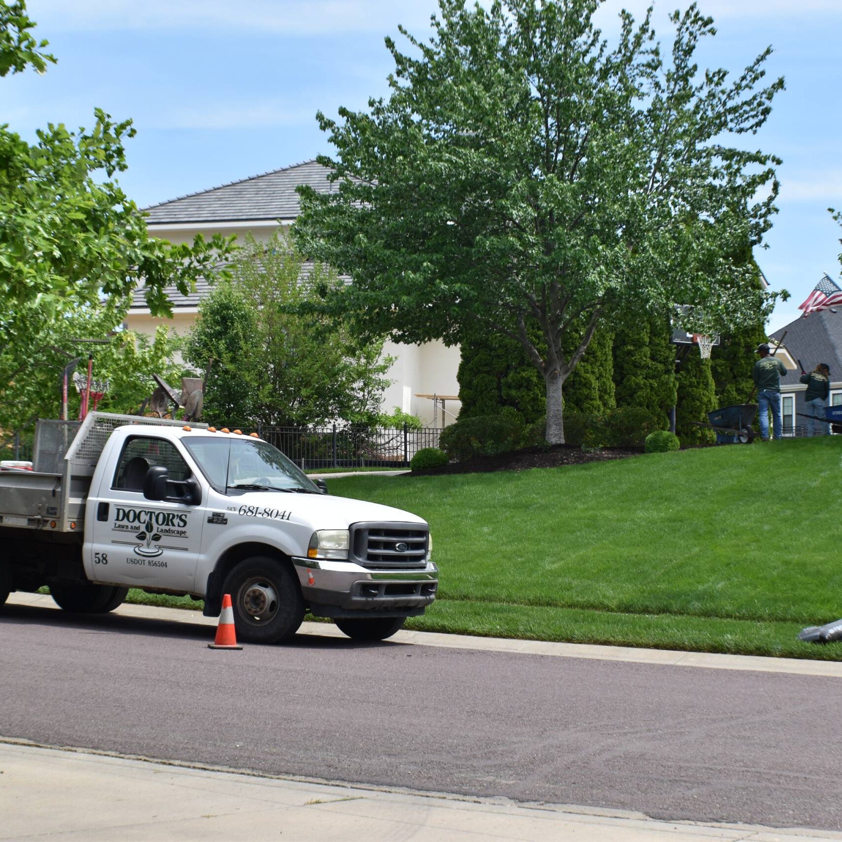 Comprehensive Lawn Care Programs in Kansas City, MO