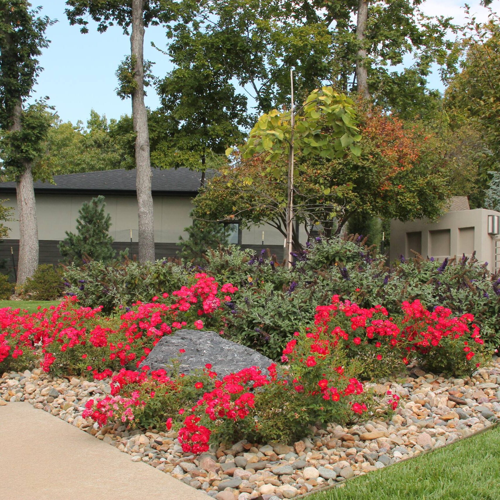 Kansas City, MO Plant Health Care Company