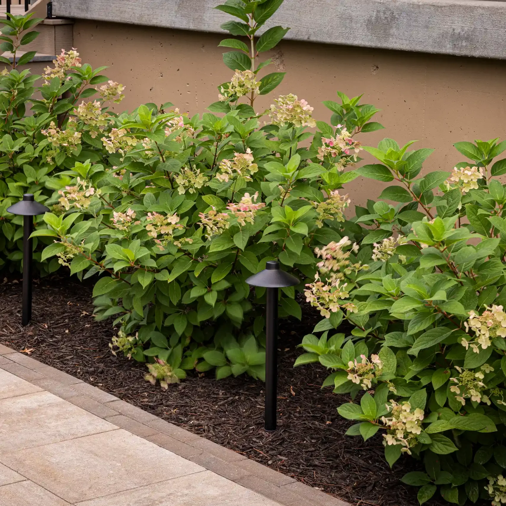Kansas City, MO Landscape Lighting